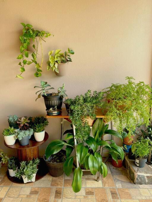מונטה ורדה Peace Garden Apartment מראה חיצוני תמונה