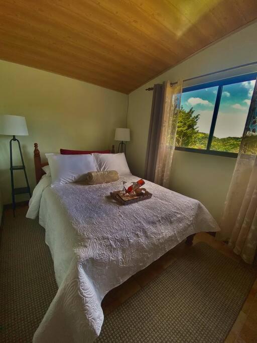 מונטה ורדה Peace Garden Apartment מראה חיצוני תמונה