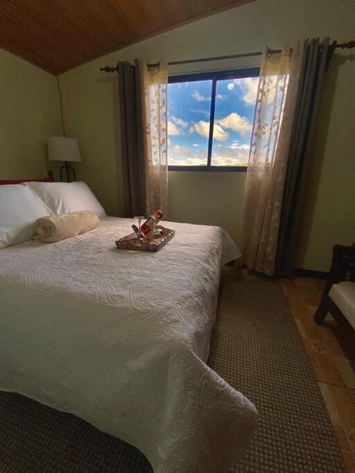מונטה ורדה Peace Garden Apartment מראה חיצוני תמונה