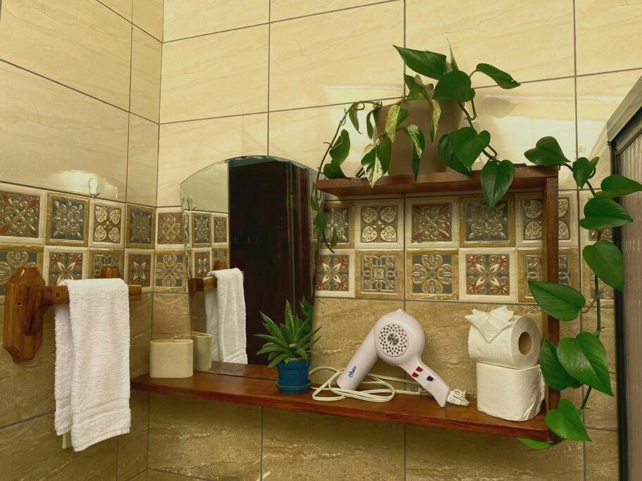 מונטה ורדה Peace Garden Apartment מראה חיצוני תמונה