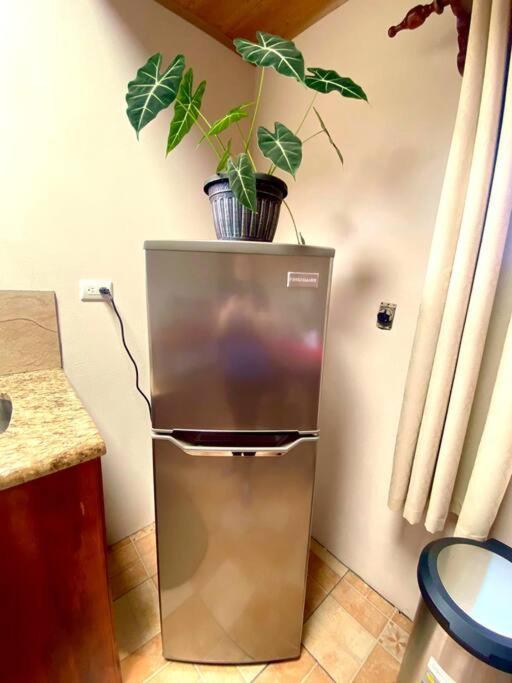 מונטה ורדה Peace Garden Apartment מראה חיצוני תמונה